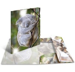 Chemise à élastiques 'koala', PP Glossy, A4