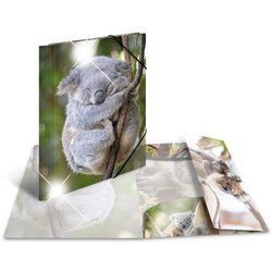 Map met elastieken 'koala' PP Glossy A4