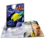 Chemise à élastiques 'poissons', PP Glossy, A4