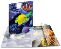 Map met elastieken 'vissen' PP Glossy A4