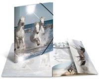 Map met elastieken 'katten' PP Glossy A4