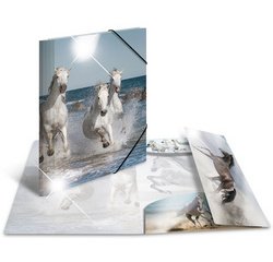 Chemise à élastiques 'chats', PP Glossy, A4