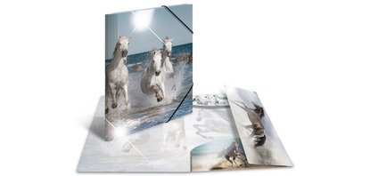 Chemise à élastiques 'chats', PP Glossy, A4