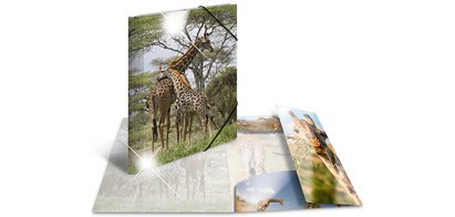 Chemise à élastiques 'girafe', PP Glossy, A3