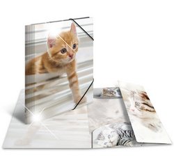 Chemise à élastiques 'chats', PP Glossy, A3