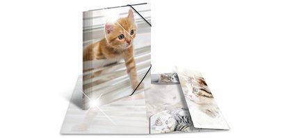 Chemise à élastiques 'chats', PP Glossy, A3