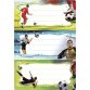 Etiquettes pour livres, 'football', 76 x 35 mm