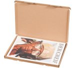 smartboxpro Carton d'expédition pour catalogue, A4, marron