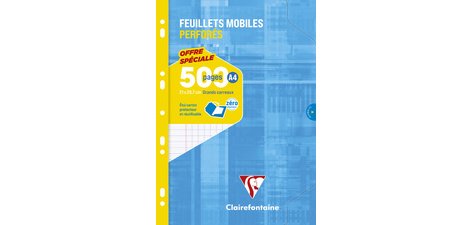 Perforated loose-leaf sheets, A4, ruled