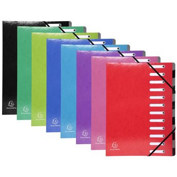 Exacompta Iderama Harmonika Multipart File, A4, 12 sections - Assorted colours