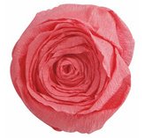 Papier crépon, rose saumon