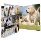 Classeur à anneaux 'Animals' - chiens, A4, mécanisme à