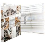 Classeur à anneaux 'Animals' - chats, A4, mécanisme à