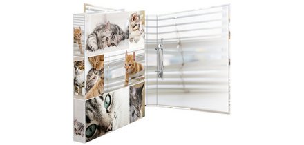 Classeur à anneaux 'Animals' - chats, A4, mécanisme à