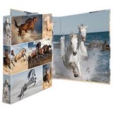 Classeur à anneaux 'Animals' - chevaux, A4, mécanisme