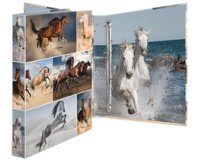 Classeur à anneaux 'chevaux', A4, mécanisme 4 anneaux