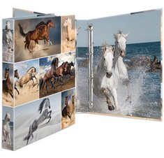 Classeur à anneaux 'chevaux', A4, mécanisme 4 anneaux