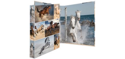 Classeur à anneaux 'chevaux', A4, mécanisme 4 anneaux