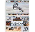 Sous-main 'Chiens', (L)550 x (H)350 mm