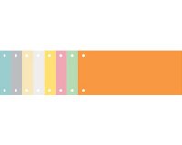 Pk 100 Filing Strips 105x240 Beige