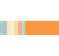 Pak van 100 horizontale tabstroken met perforatie 180g - 105x240mm