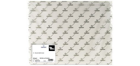 Papier à dessin 'The WALL', 500 x 700 mm, 200 g/m2