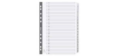 Div Mylar Dividers A4 White 1-31 - White