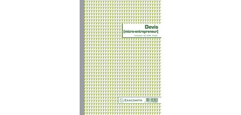 Manifold Devis Kleinstunternehmer 29,7x21cm 50 selbstkopierende Blätter - Text FR