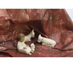 Papier rocher 60g, 2,50x0,70m prés.30rlx - Marron