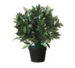 Plante artificielle 'Laurier', hauteur : 500 mm