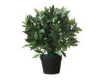 Plante artificielle 'Laurier', hauteur : 500 mm
