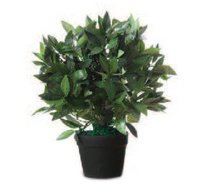 Plante artificielle 'Laurier', hauteur : 500 mm