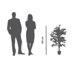 Plante artificielle 'Ficus', hauteur : 1.200 mm