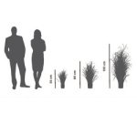 Plante artificielle 'Herbacée', hauteur : 550 mm