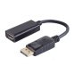 BASIC-S Adaptateur, DisplayPort - HDMI