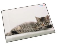 Sous-main chat gris, 400 x 530 mm