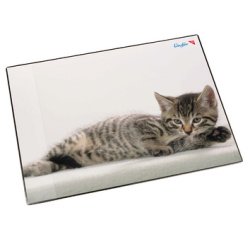 Sous-main chat gris, 40 x 53 cm