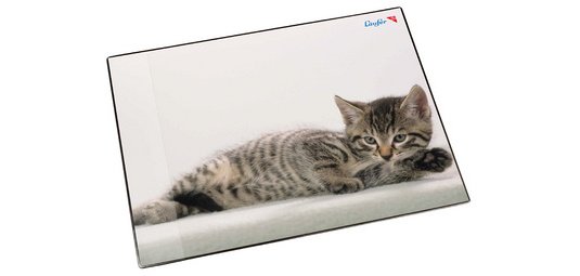 Sous-main chat gris, 40 x 53 cm