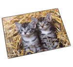 Sous-main 'chats dans les pailles', 400 x 530 mm