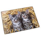 Sous-main 'chats dans les pailles', 400 x 530 mm