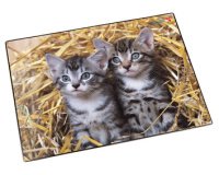 Sous-main 'chats dans les pailles', 400 x 530 mm
