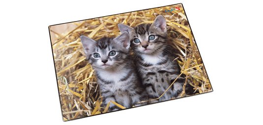 Sous-main 'chats dans les pailles', 400 x 530 mm