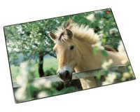 Sous-main cheval à la clôture, 400 x 530 mm