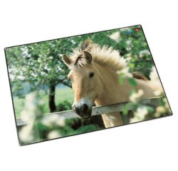 Sous-main cheval à la clôture, 40 x 53 cm