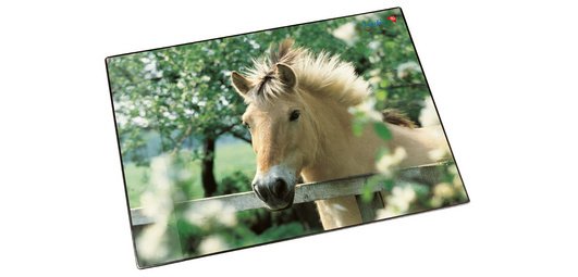 Sous-main cheval à la clôture, 400 x 530 mm