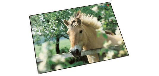 Sous-main cheval à la clôture, 400 x 530 mm