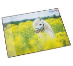 Sous-main dans un champ de colza, 40 x 53 cm