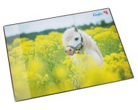 Sous-main dans un champ de colza, 400 x 530 mm