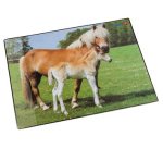 Sous-main cheval et poulain, 400 x 530 mm