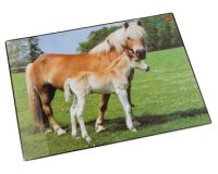 Sous-main cheval et poulain, 400 x 530 mm